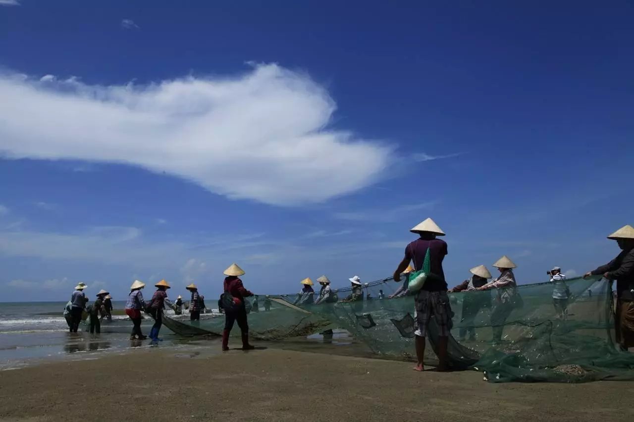 海水养鸭_在海边养殖海鸭视频_跑海鸭养殖技术