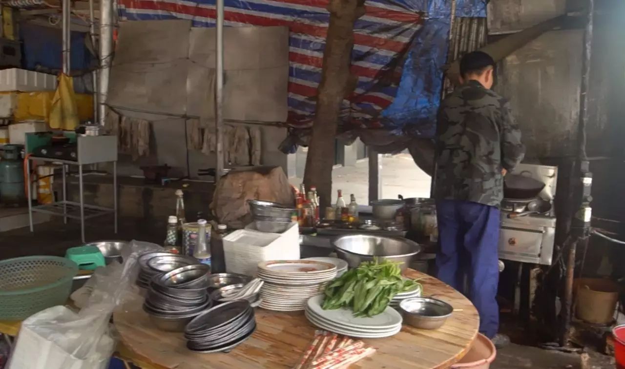 在海边养殖海鸭视频_海水养鸭_跑海鸭养殖技术