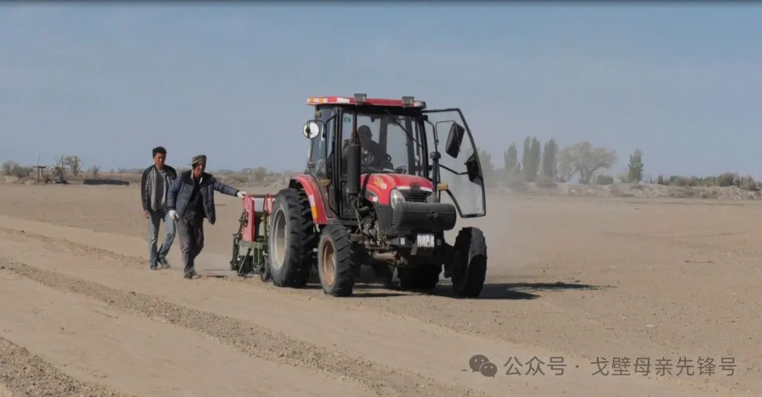 安徽亳州种植结构_安徽亳州种植致富_亳州致富案例