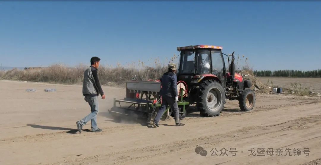 安徽亳州种植结构_亳州致富案例_安徽亳州种植致富