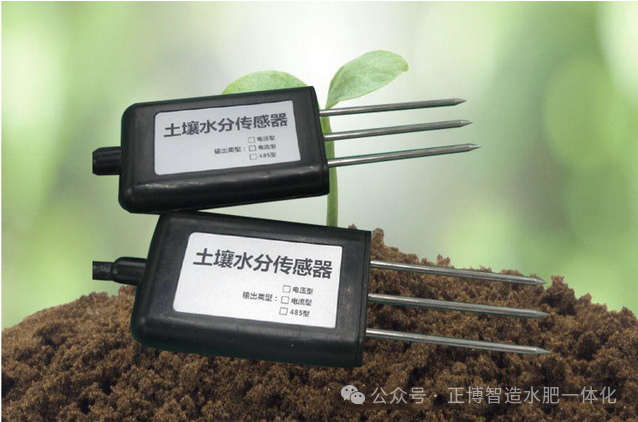 种植菌类技术有哪些_菌类种植技术_种植菌类技术难吗