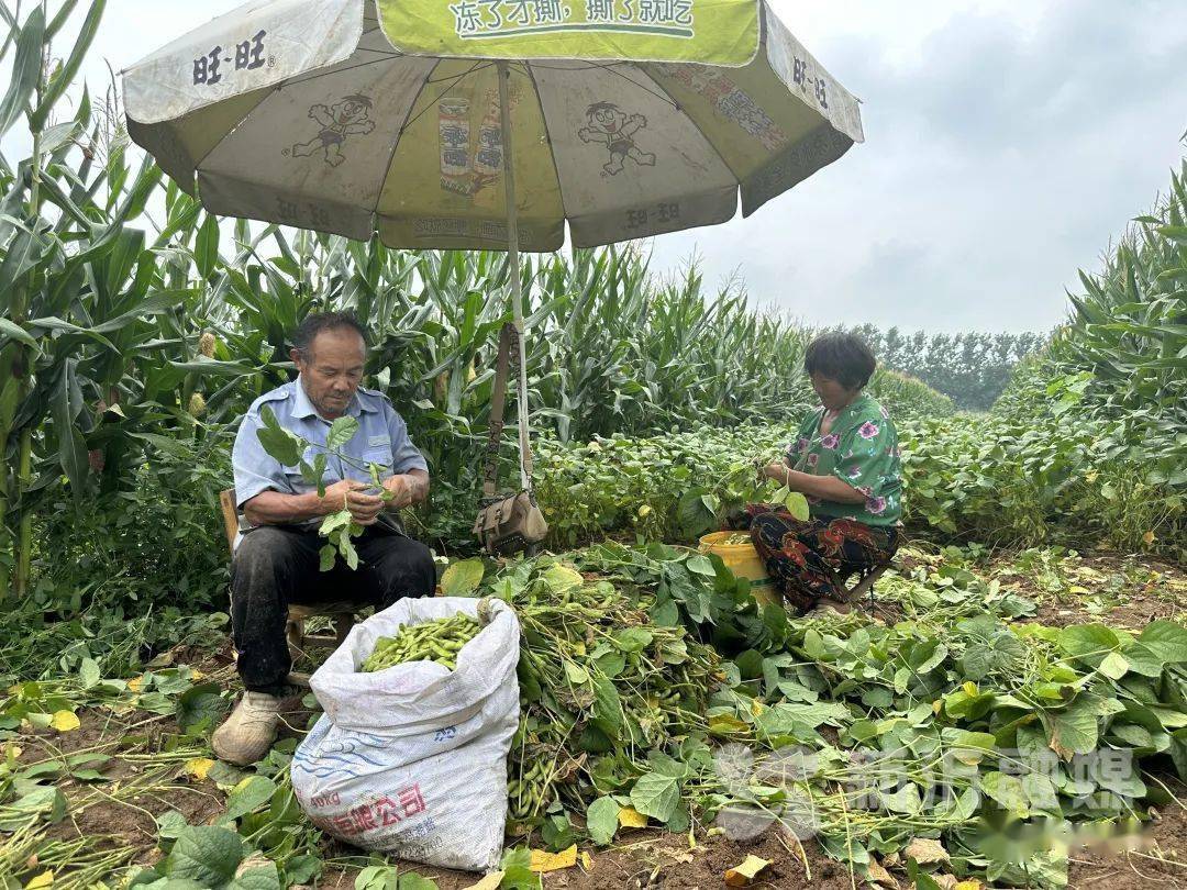 种植致富业_复合种植致富_种植复合基台图片