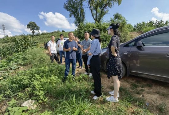 缅甸种植致富项目_致富缅甸种植项目有哪些_缅甸农业种植