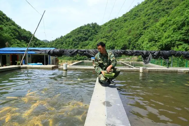 致富经安泉养鱼_致富经流水养鱼_致富经泉水养鱼