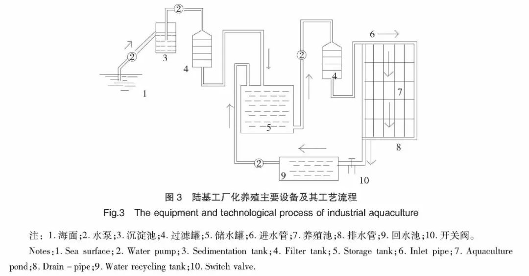 皱纹盘鲍学名_皱纹盘鲍养殖技术规范_皱纹盘鲍和杂色鲍的区别