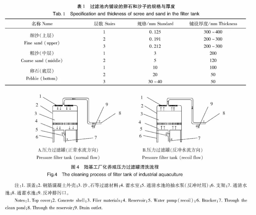 皱纹盘鲍和杂色鲍的区别_皱纹盘鲍学名_皱纹盘鲍养殖技术规范