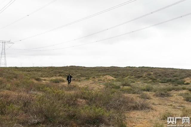 沙漠种草致富经视频_致富经沙漠养鱼_沙漠养殖致富视频