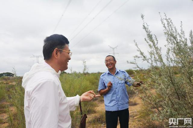 沙漠养殖致富视频_致富经沙漠养鱼_沙漠种草致富经视频