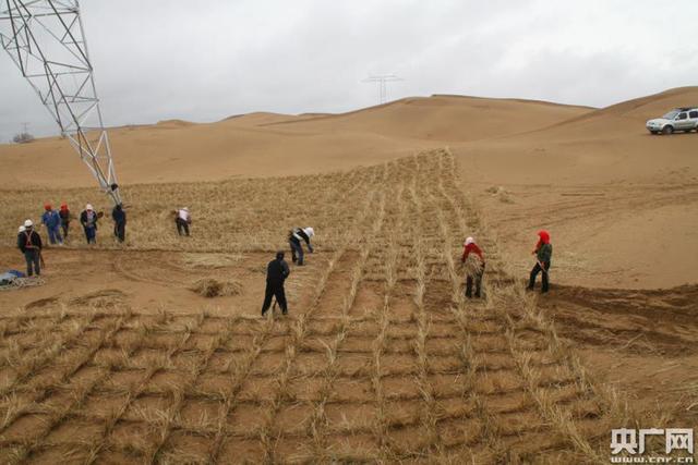 致富经沙漠养鱼_沙漠种草致富经视频_沙漠养殖致富视频