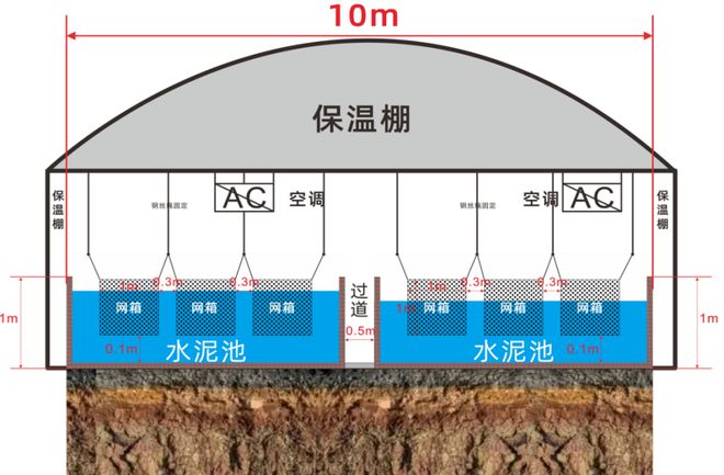 泥蛙养殖牛蛙_蛙泥怎么使用_泥蛙养殖技术