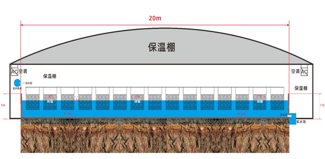 泥蛙养殖牛蛙_蛙泥怎么使用_泥蛙养殖技术