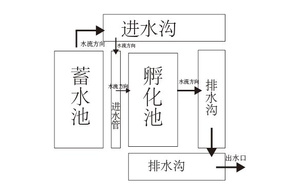 蛙泥怎么使用_泥蛙养殖牛蛙_泥蛙养殖技术