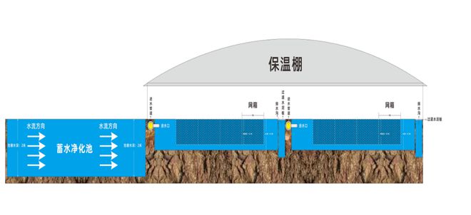 蛙泥怎么使用_泥蛙养殖牛蛙_泥蛙养殖技术