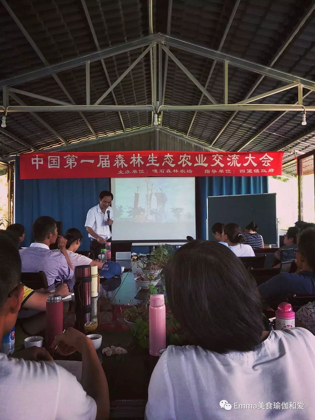 致富经黄花梨树种_黄花梨果树种植_黄花梨种植效益