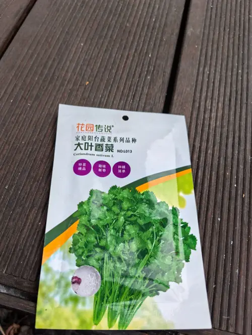 香菜种子播种的秘诀与技巧——花园传说