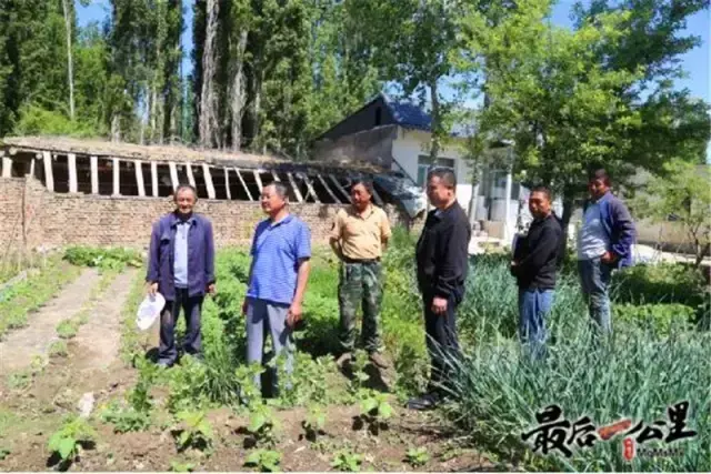 蜜蜂蜂盘有什么功效和作用_蜜蜂盘可以吃吗_购买蜜蜂养殖技术光盘