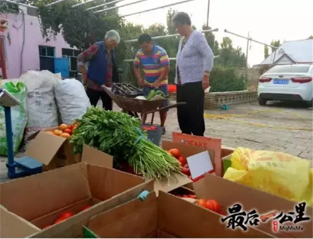 蜜蜂蜂盘有什么功效和作用_购买蜜蜂养殖技术光盘_蜜蜂盘可以吃吗