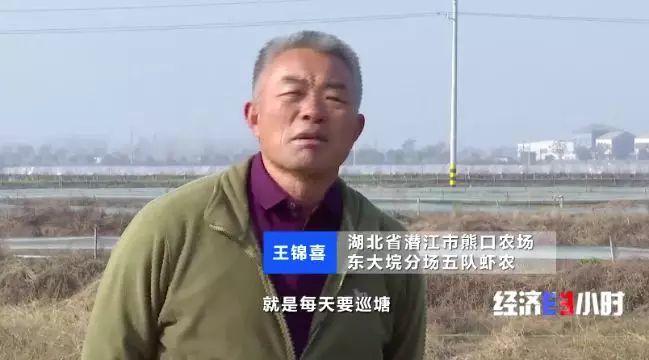 致富经小龙虾养殖技术视频_致富经养殖龙虾爱琢磨_龙虾致富经