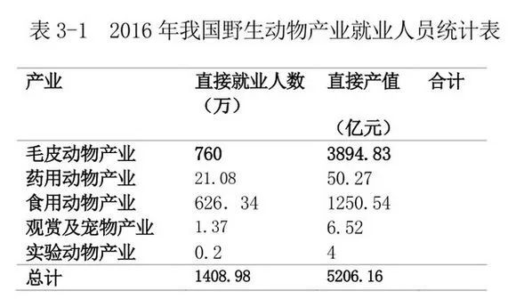 2021年竹鼠养殖新政策_2016年致富经竹鼠养殖_2020竹鼠养殖前景怎么样