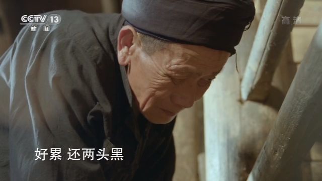央视7套致富经家蓄养殖_央视致富经养牛视频_央视致富经养猪