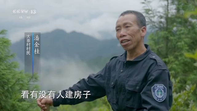 央视致富经养猪_央视7套致富经家蓄养殖_央视致富经养牛视频