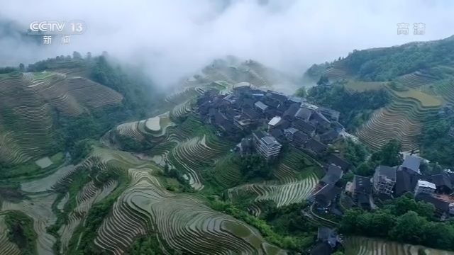 央视致富经养猪_央视7套致富经家蓄养殖_央视致富经养牛视频