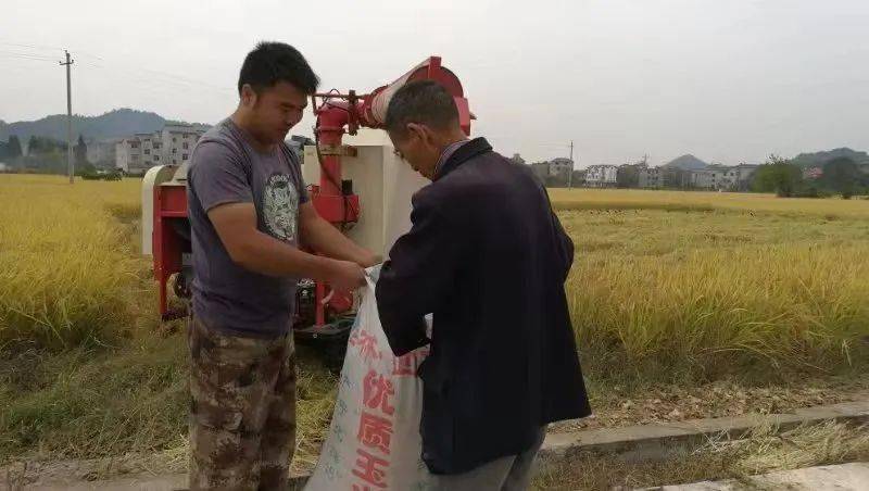 农村致富新项目种植业_致富经农村种植业_农村致富项目种植业