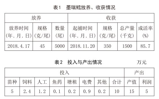 锦鲤 池塘 养殖技术_养殖锦鲤池塘技术要求_养殖锦鲤池塘技术视频