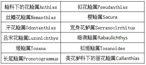 金鱼养殖新技术_福建金鱼养殖技术_金鱼养殖业