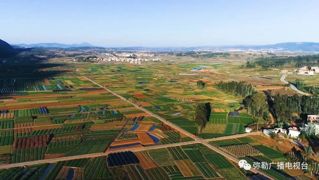 黑石榴树苗的价格_种植黑石榴致富_大果黑石榴的种植前景