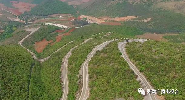 黑石榴树苗的价格_大果黑石榴的种植前景_种植黑石榴致富