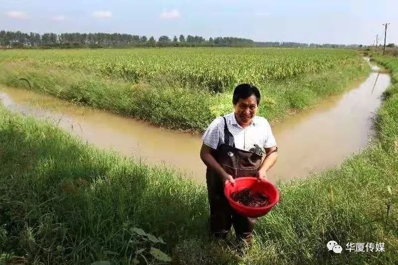 水产品养殖致富经验分享_水产养殖致富项目_致富经水产养殖视频