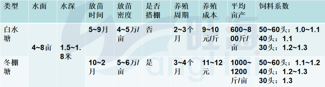 土塘海水南美白对虾养殖技术_土塘养殖南美白对虾技术指导_南美白养殖技术土塘