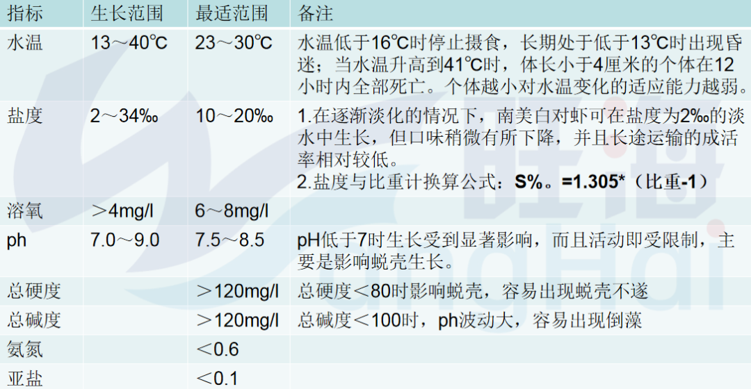 南美白养殖技术土塘_土塘海水南美白对虾养殖技术_土塘养殖南美白对虾技术指导