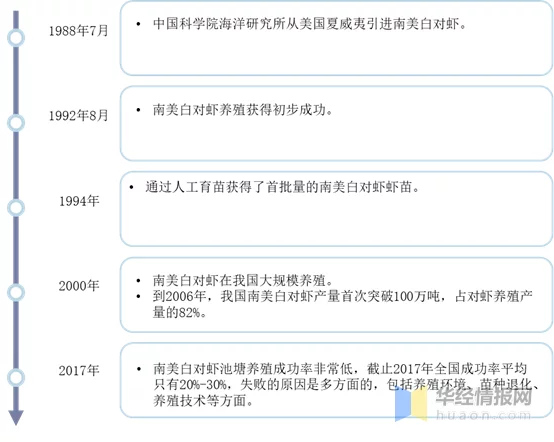 土塘海水南美白对虾养殖技术_南美白养殖技术土塘_土塘养殖南美白对虾技术指导