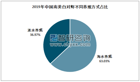 南美白养殖技术土塘_土塘海水南美白对虾养殖技术_土塘养殖南美白对虾技术指导