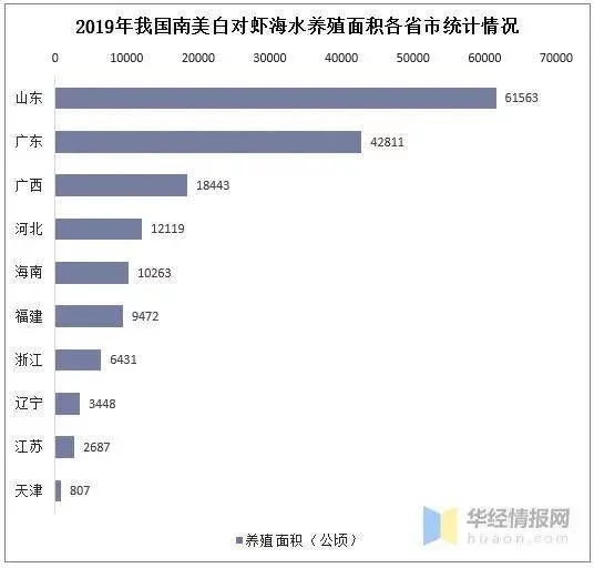 土塘海水南美白对虾养殖技术_南美白养殖技术土塘_土塘养殖南美白对虾技术指导