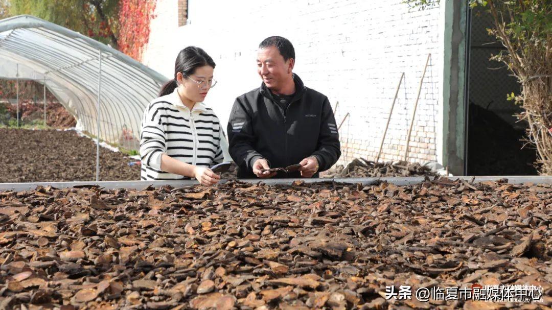 定西中药材种植面积_中药材种植致富_定西中药种植致富