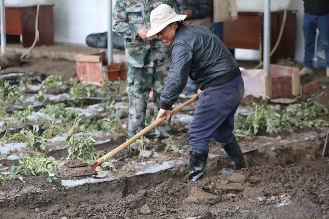 致富大户种植丹东草莓视频_丹东种草莓赚钱吗_致富经丹东草莓种植大户