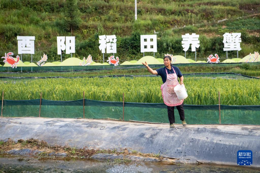 重庆养殖致富项目_重庆农村养殖好项目_重庆扶贫养殖项目