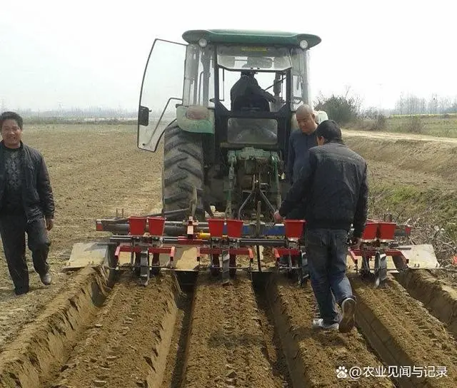 花生施肥及种植管理技术_花生的施肥原则是什么_花生施肥种植管理技术要点