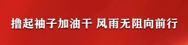 旧城镇因地制宜种苜蓿 助农走向致富路