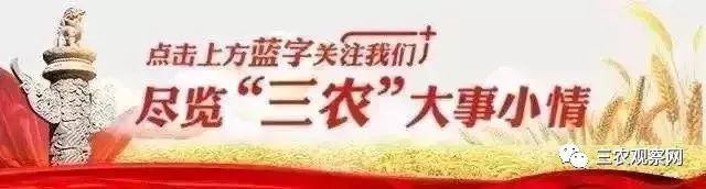 蚯蚓养殖引来乡村致富路 地龙力公司发展2021年度总结