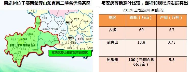 贫困村致富_贫困山乡种植致富_贫困山区要致富