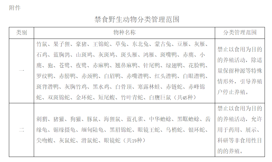 果子狸养殖成本与利润_广西果子狸养殖基地_广西果子狸养殖技术