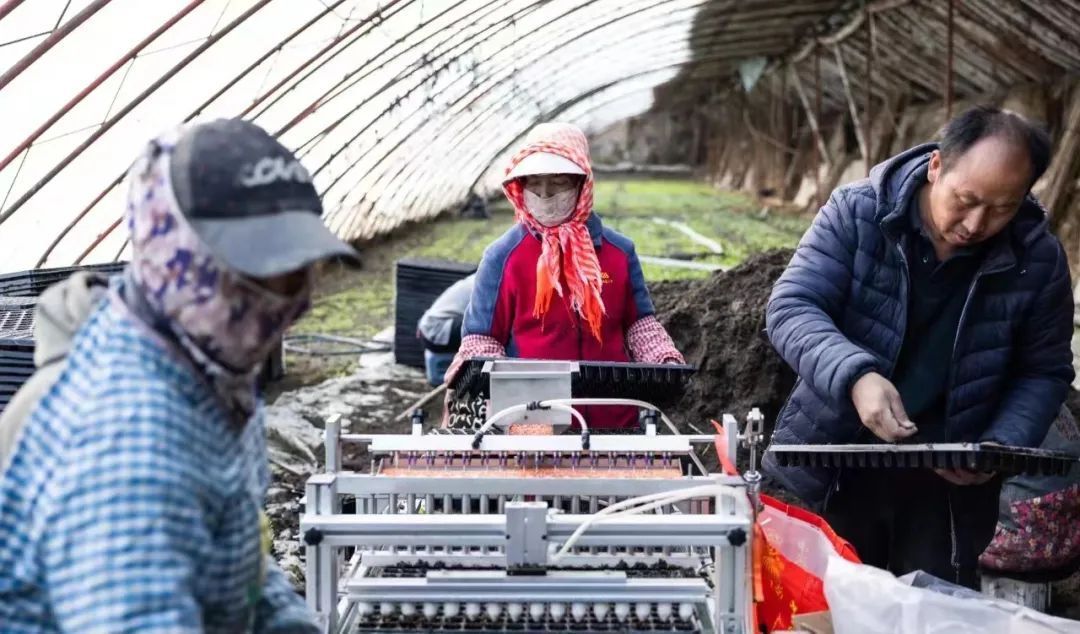 致富之路人工种植_致富之路人工种植_致富之路人工种植