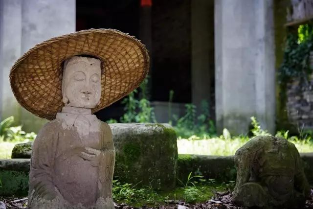 视频致富种植猕猴桃是真的吗_致富经猕猴桃种植视频_种植猕猴桃挣钱吗