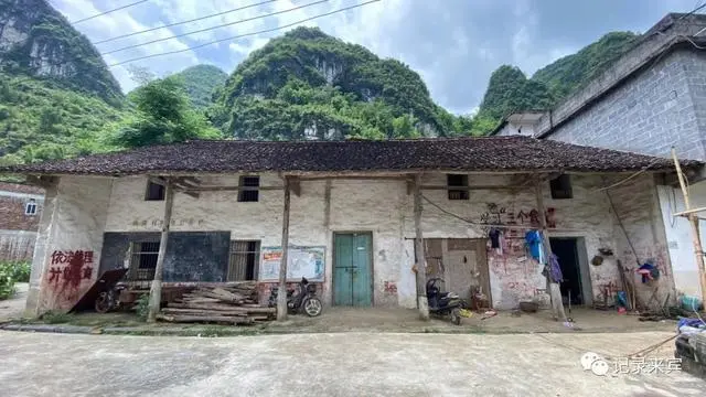 种植致富农村项目大全_合山种植致富_种植致富经