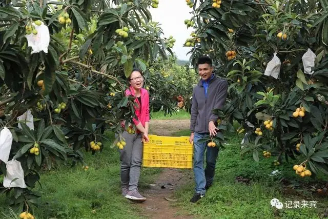 种植致富农村项目大全_合山种植致富_种植致富经