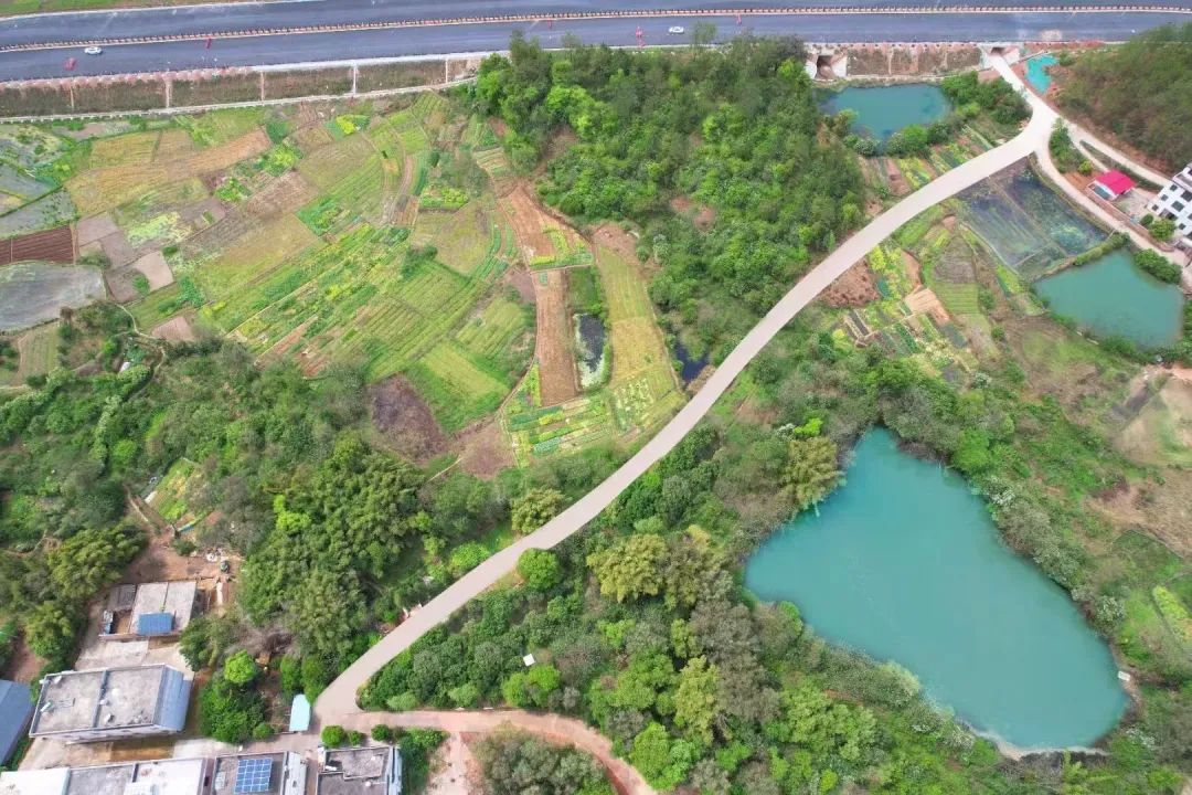 致富经水库养草鱼_水库种植致富项目_致富水库种植项目有哪些